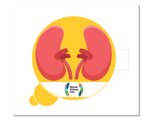 Kidney (2) yellow 01