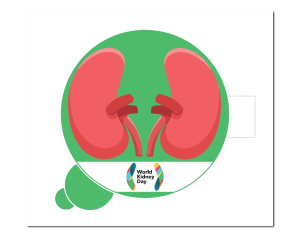 Kidney (3) green