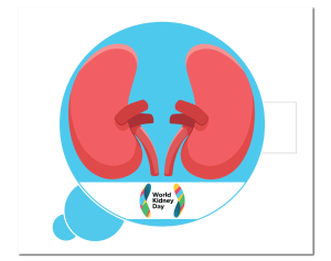 Kidney blue thumbnail 01