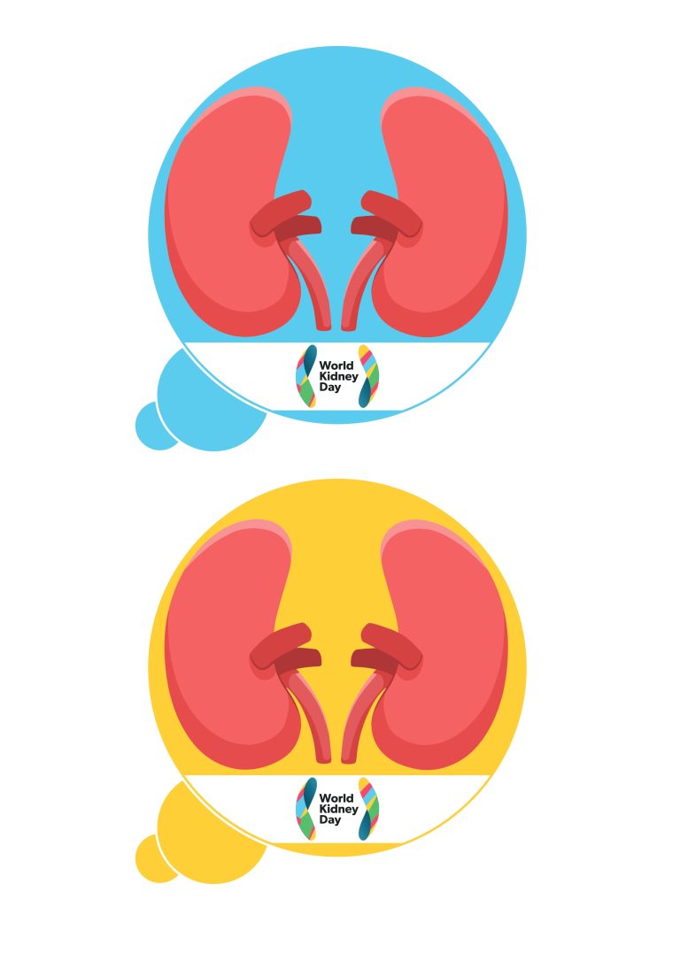 Kidneys blue yellow