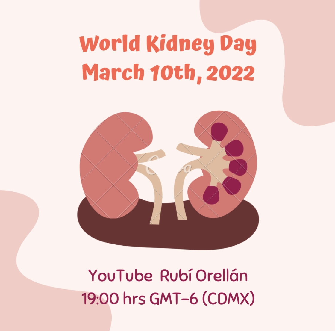 ¿Qué es la insuficiencia renal? | Día mundial del riñón