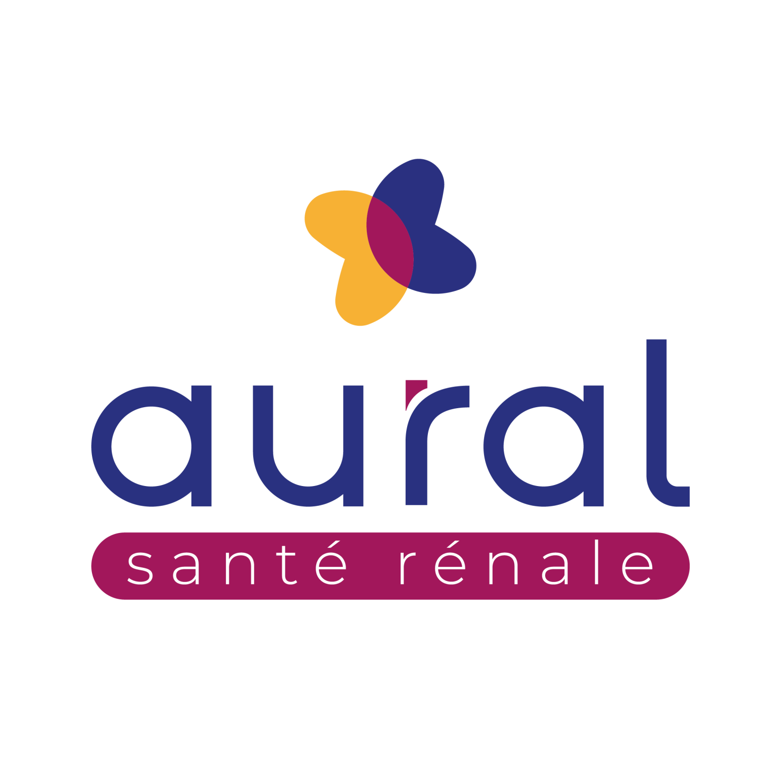 MASTER Logo AURAL Carre couleurs 3