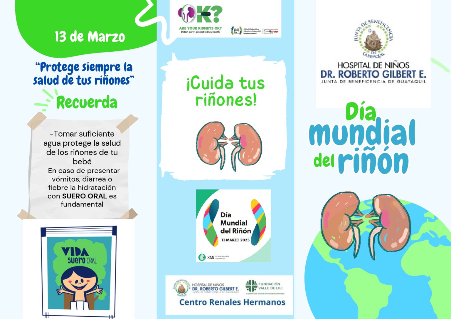 Triptico dia mundial del rinon 1 page 0001